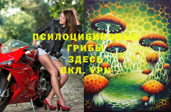 героин Новодвинск
