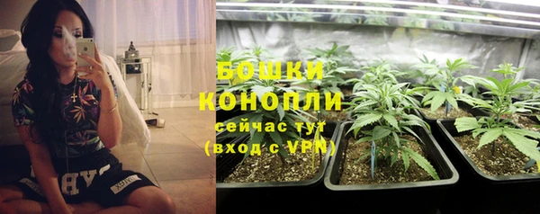 молекула духа Семилуки