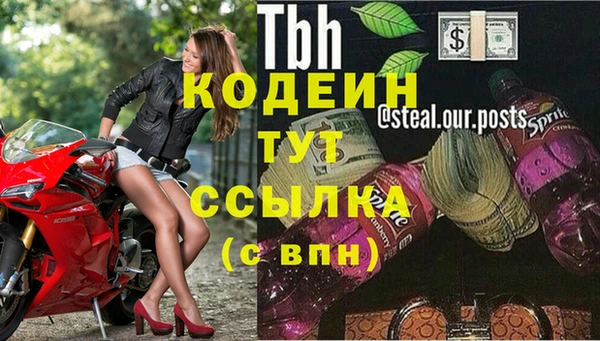 эйфоретик Новозыбков