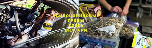 эйфоретик Новозыбков