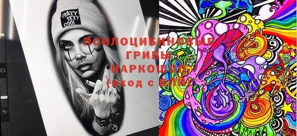 эйфоретик Новозыбков