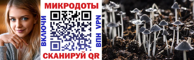 даркнет сайт  Стародуб  Псилоцибиновые грибы Cubensis 